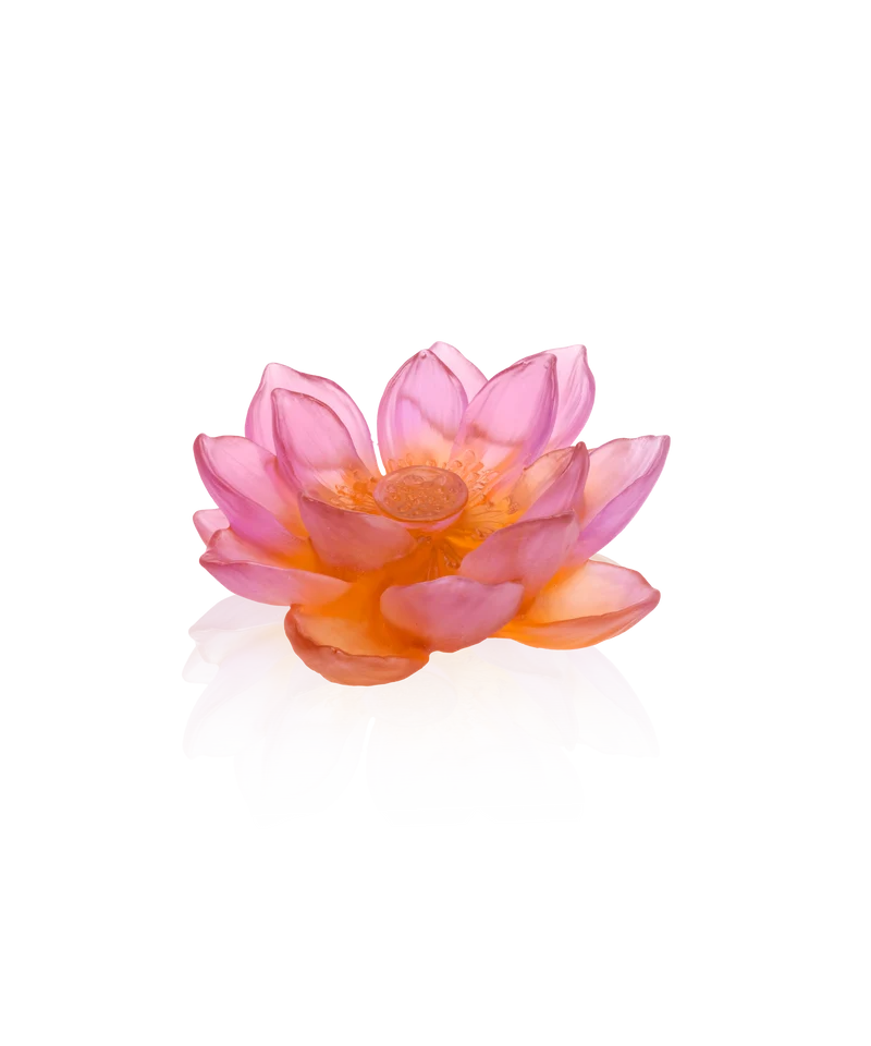 Jardin de Lotus Fleur décorative Ambre-rose