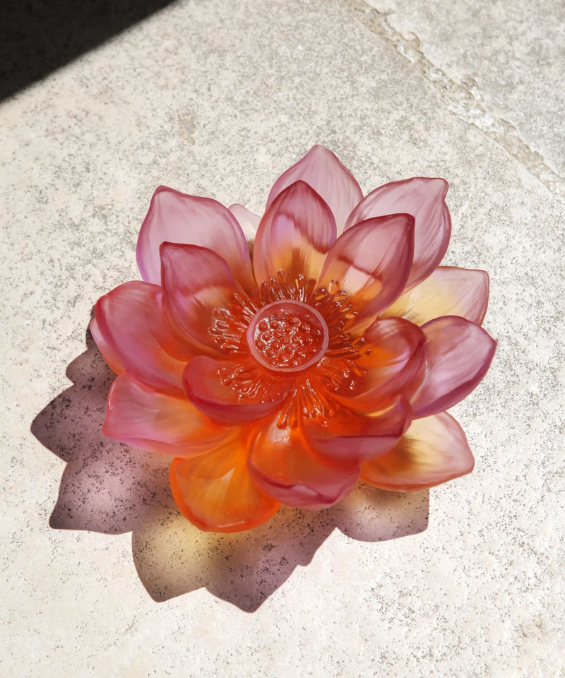 Jardin de Lotus Fleur décorative Ambre-rose