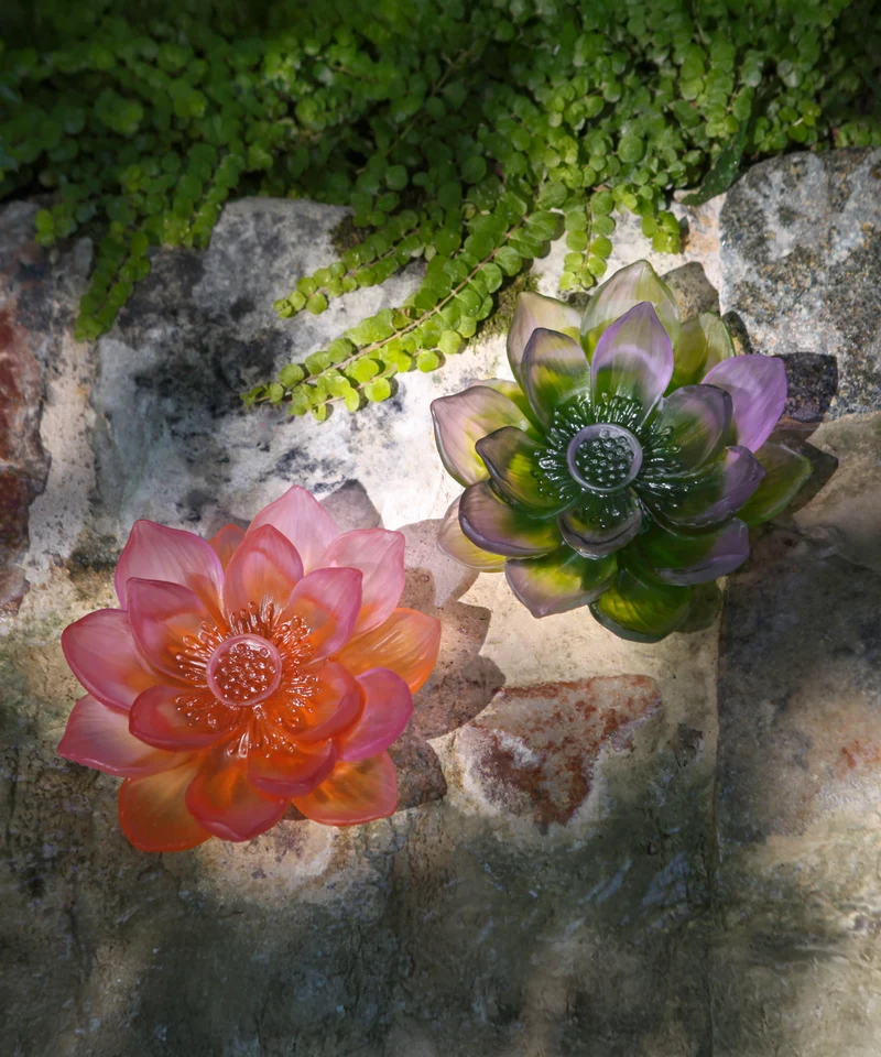 Jardin de Lotus Fleur décorative Ambre-rose