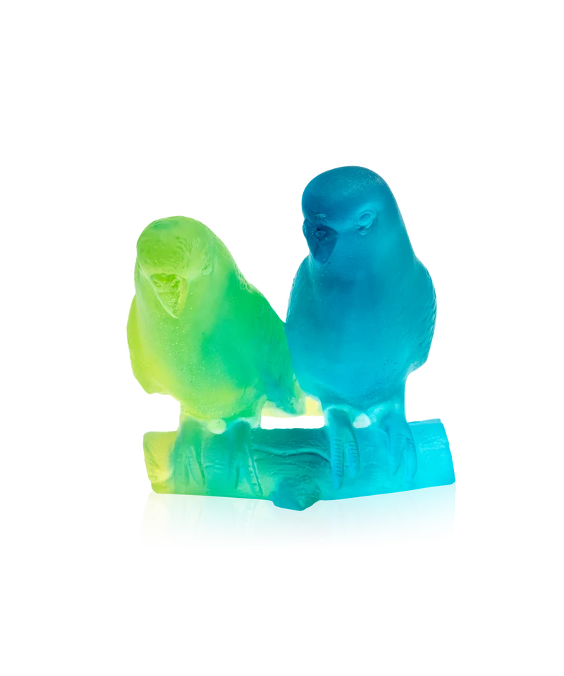 Couple de perruches Bleu