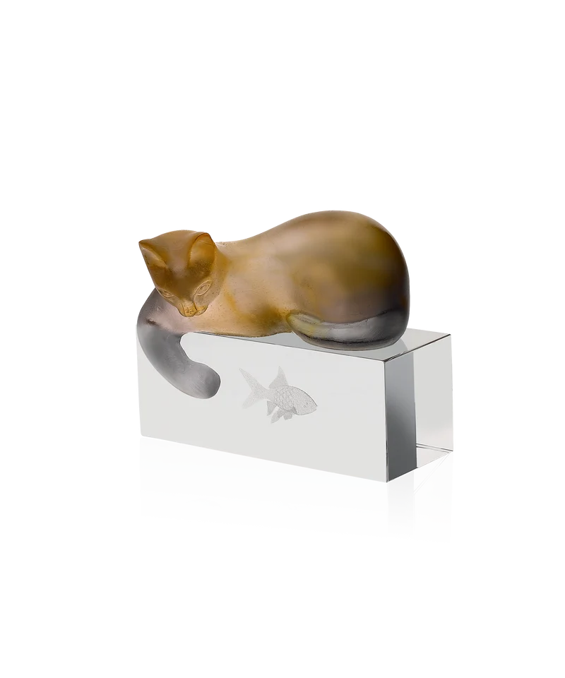 Chat