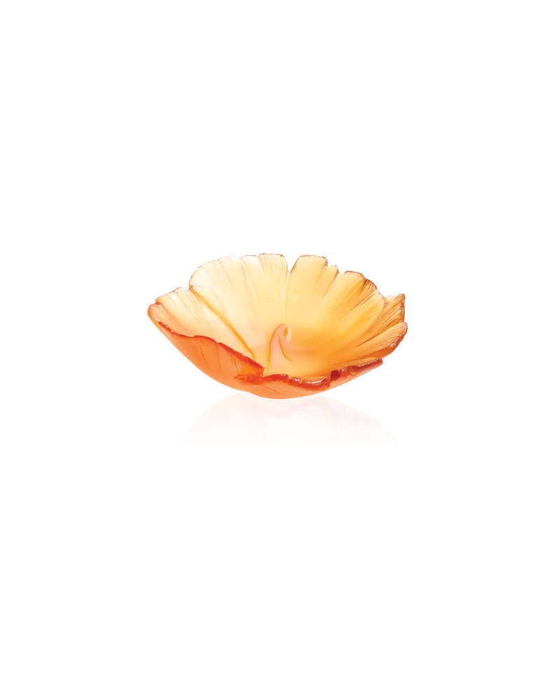 Ginkgo Coupelle Ambre