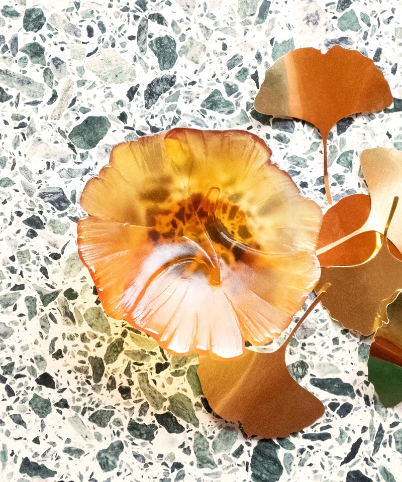 Ginkgo Coupelle Ambre