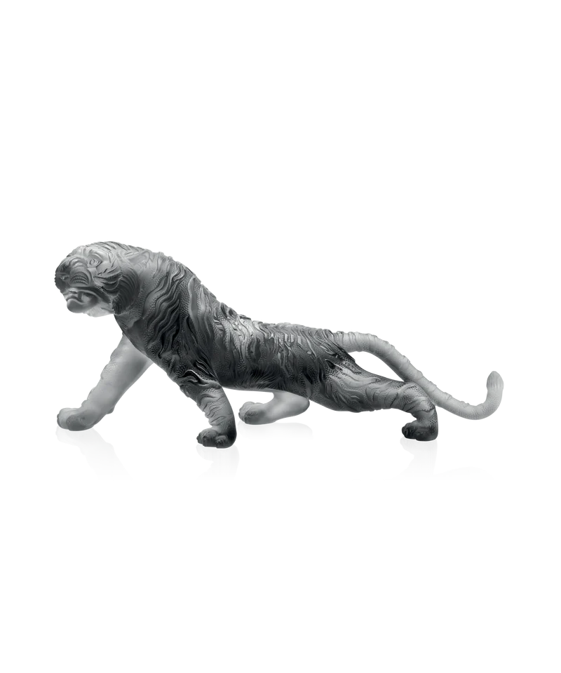 Tigre du Bengale magnum Gris 88ex