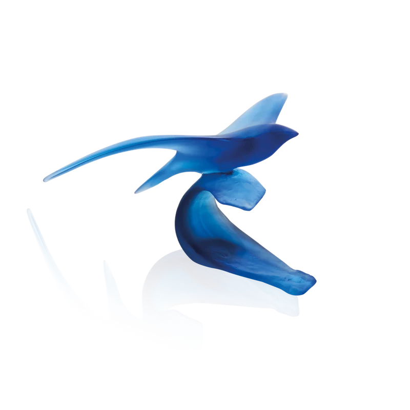 Oiseau Marin de Xavier Carnoy 375ex