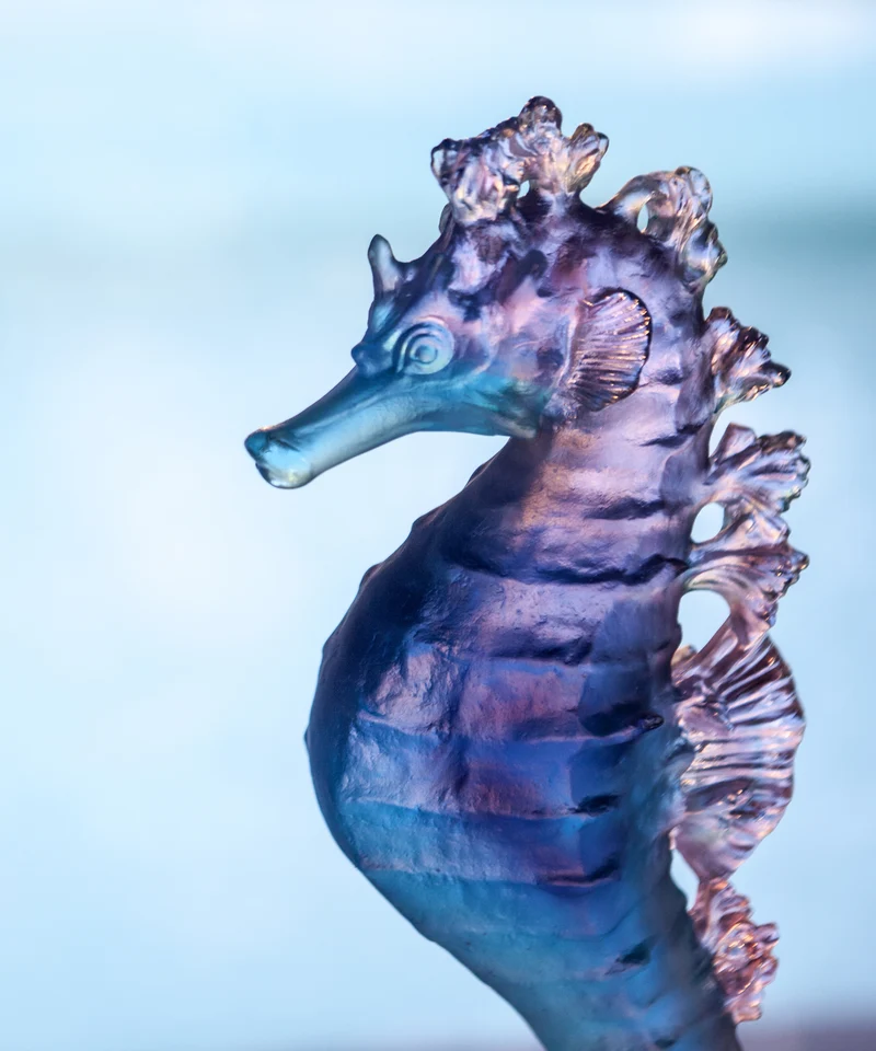Mer de Corail Hippocampe Bleu et rose