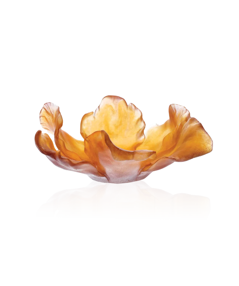 Tulipe Coupe Ambre