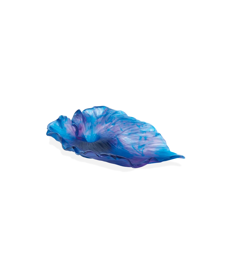 Arum Coupe Bleu nuit