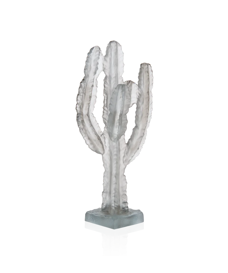 Jardin de Cactus Cactus Gris de Emilio Robba