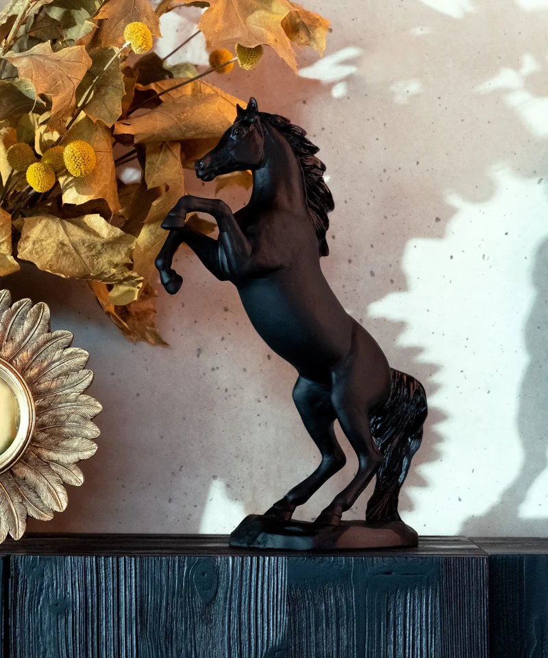 Cheval fougueux Noir 500ex