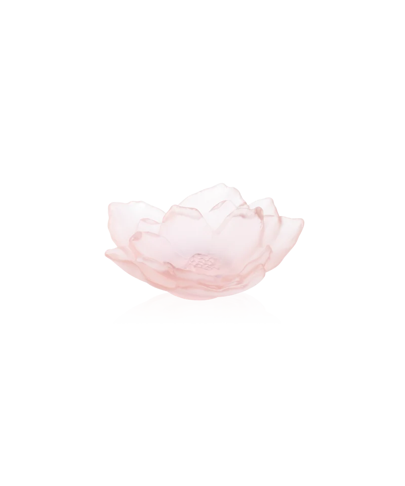Camelia Coupe petit modèle Rose
