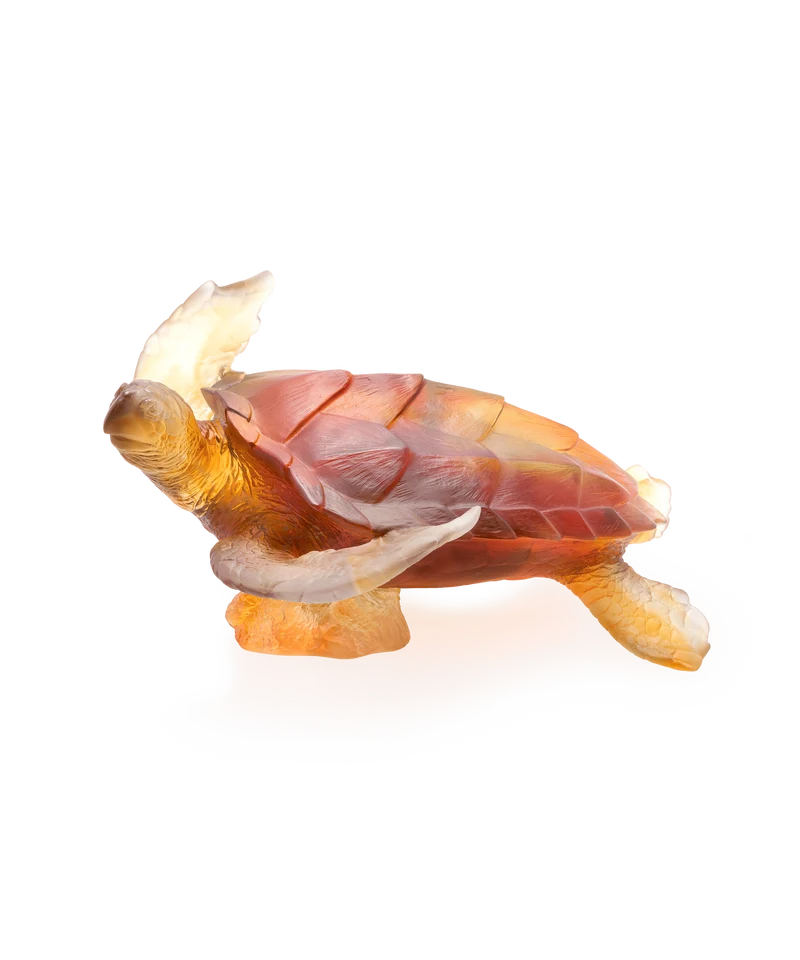 Mer de Corail Tortue de mer grand modèle Ambre gris