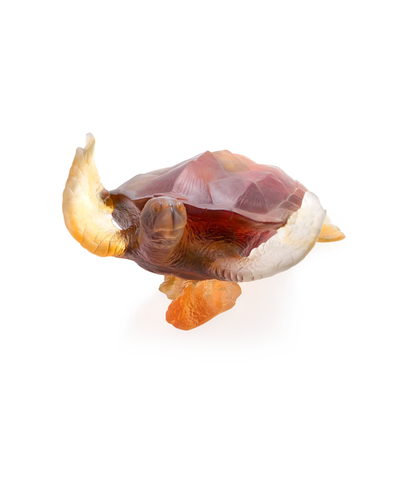 Mer de Corail Tortue de mer grand modèle Ambre gris