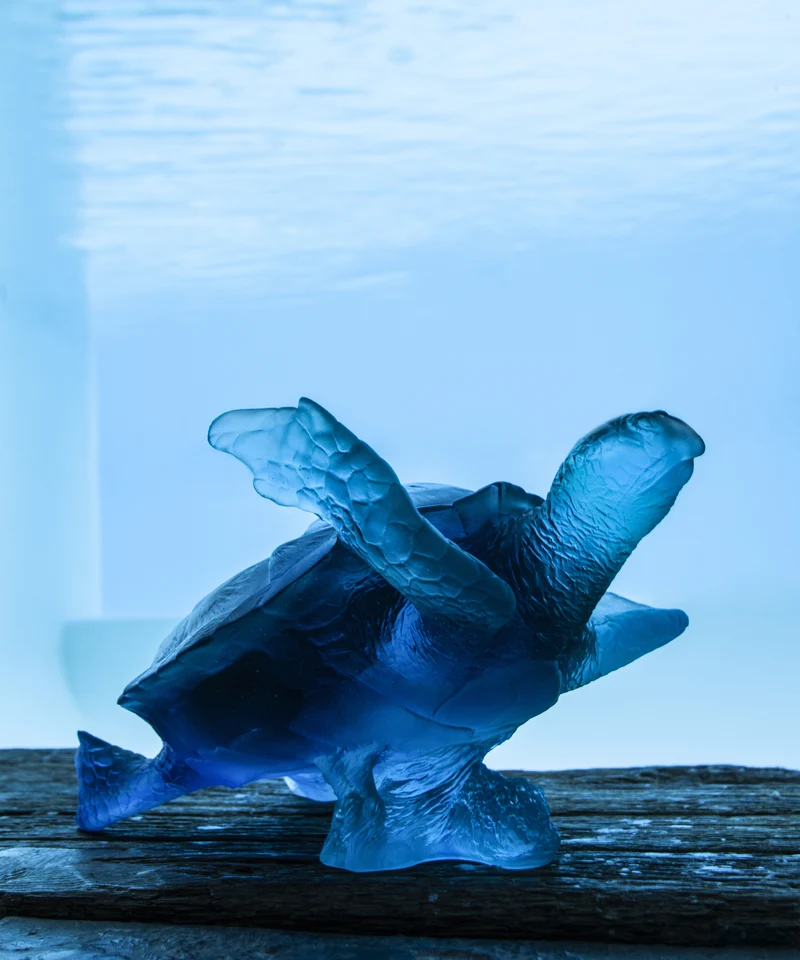Mer de Corail Tortue de mer grand modèle Bleue