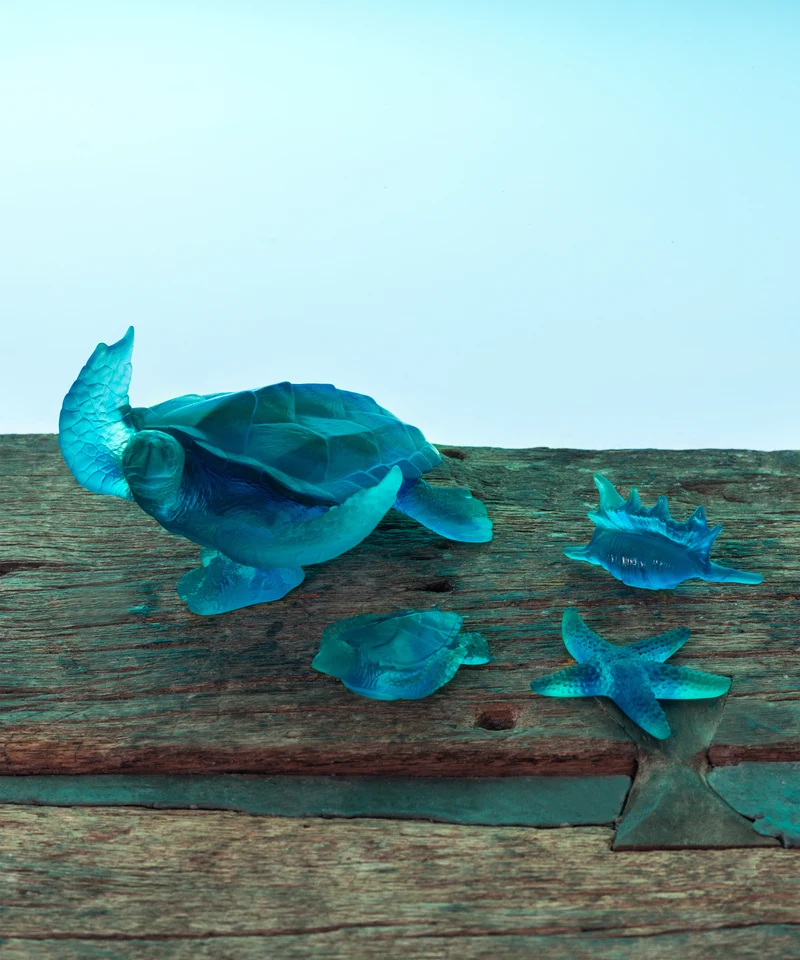Mer de Corail Tortue de mer grand modèle Bleue