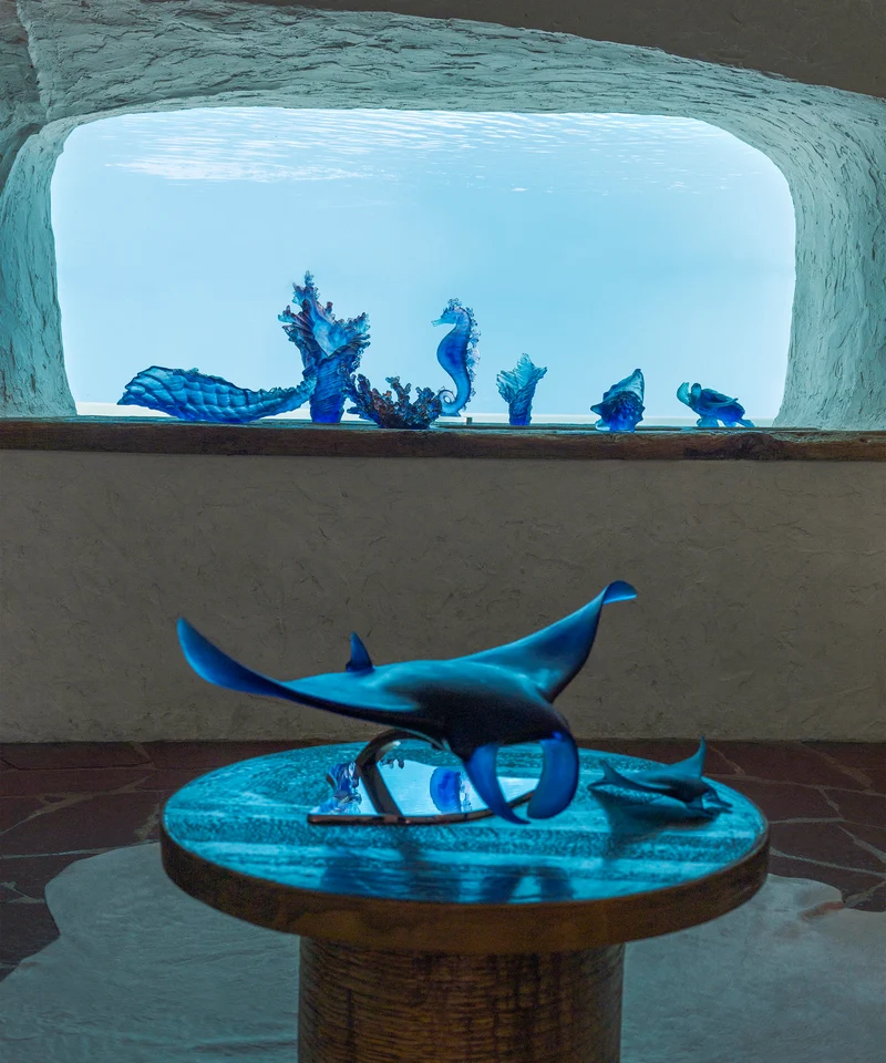 Mer de Corail Tortue de mer grand modèle Bleue