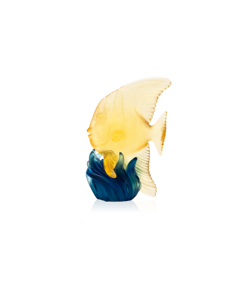 Maya Platax moyen modèle Jaune et bleu
