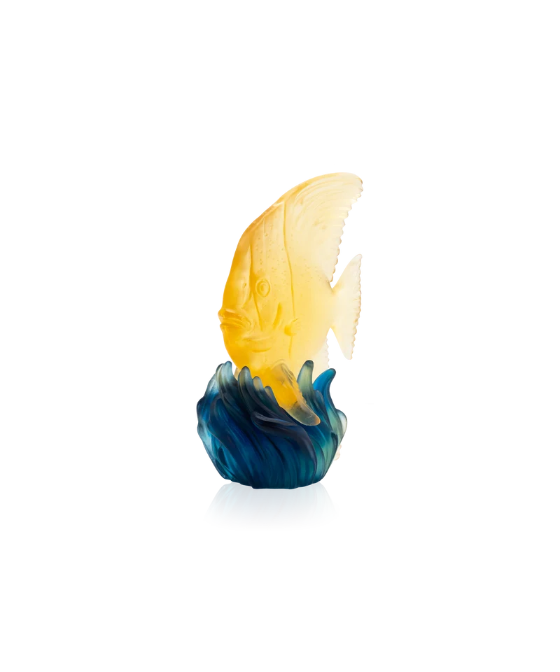 Maya Platax moyen modèle Jaune et bleu
