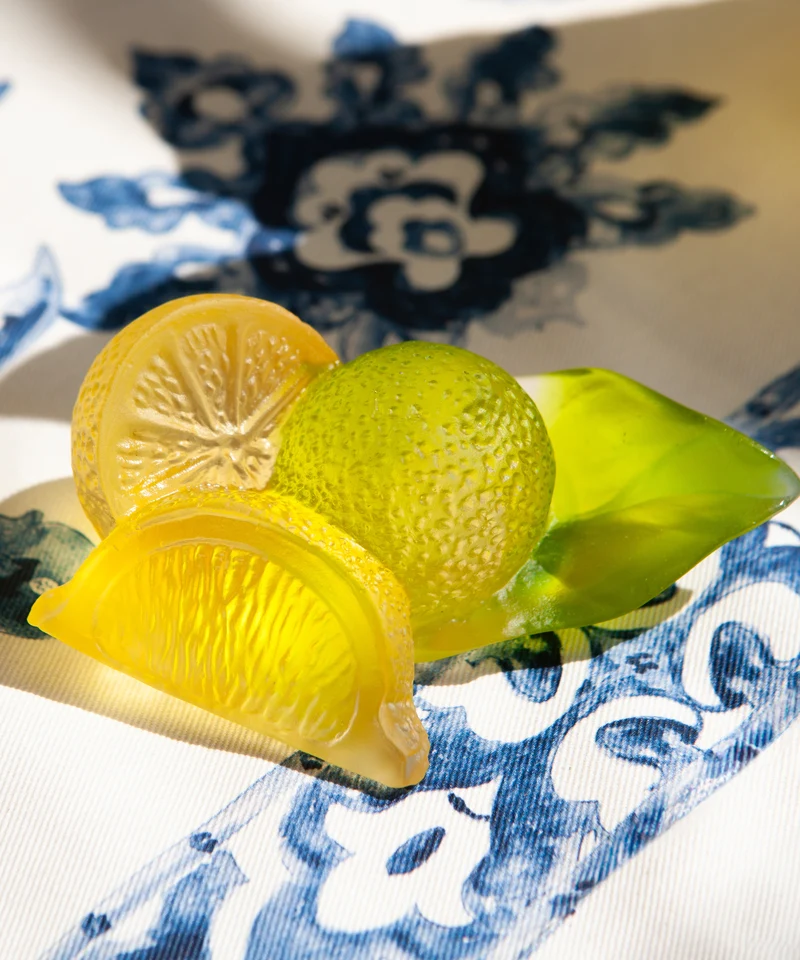 Citrus Composition décorative