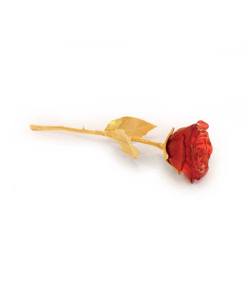 Rose Eternelle Rouge