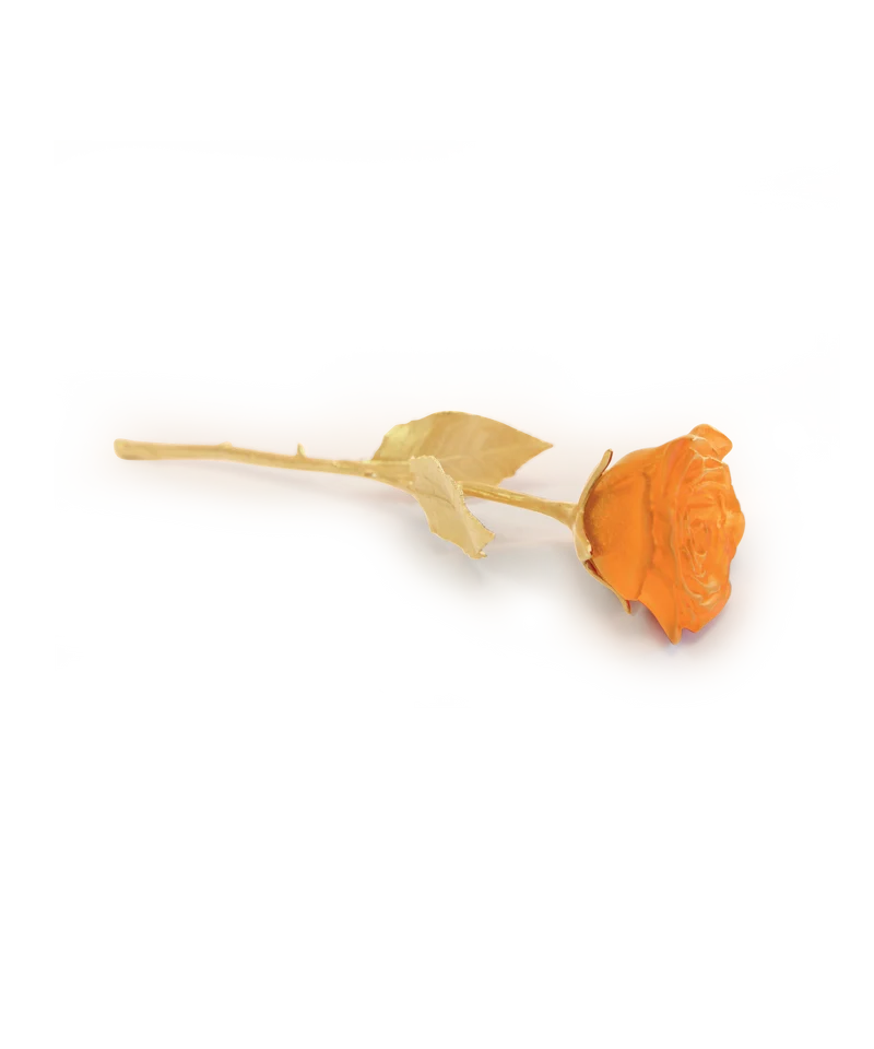 Rose Eternelle Orange