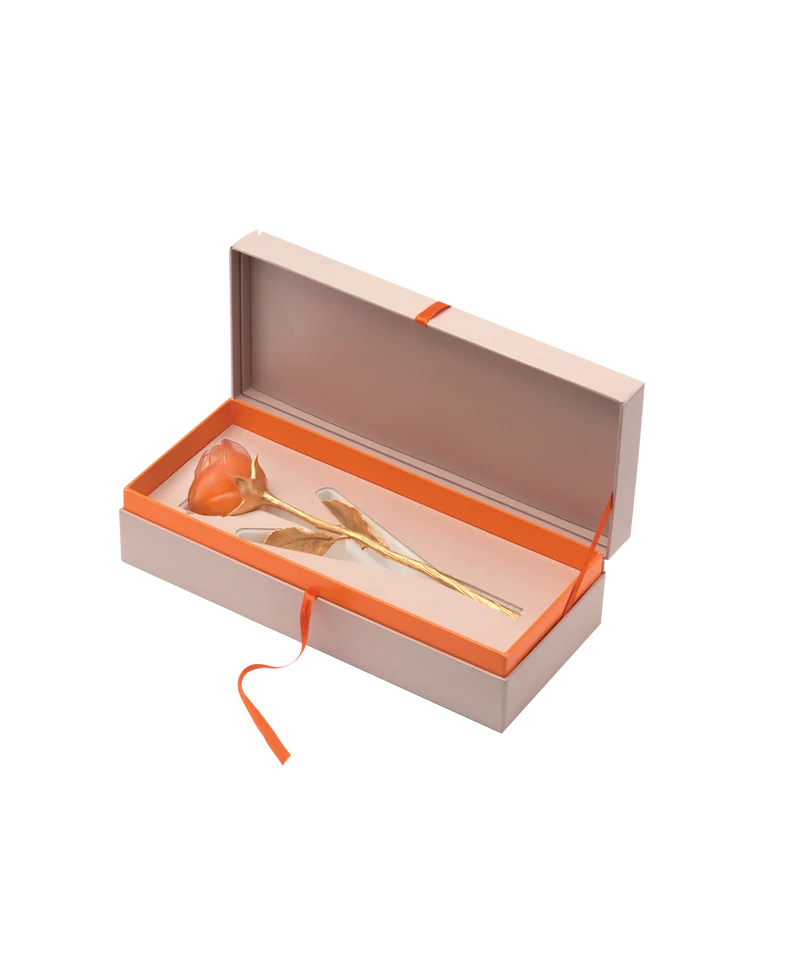 Rose Eternelle Orange