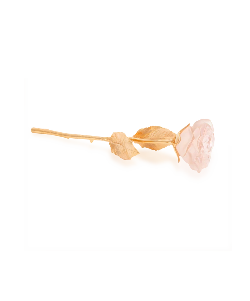 Rose Eternelle Rose poudré