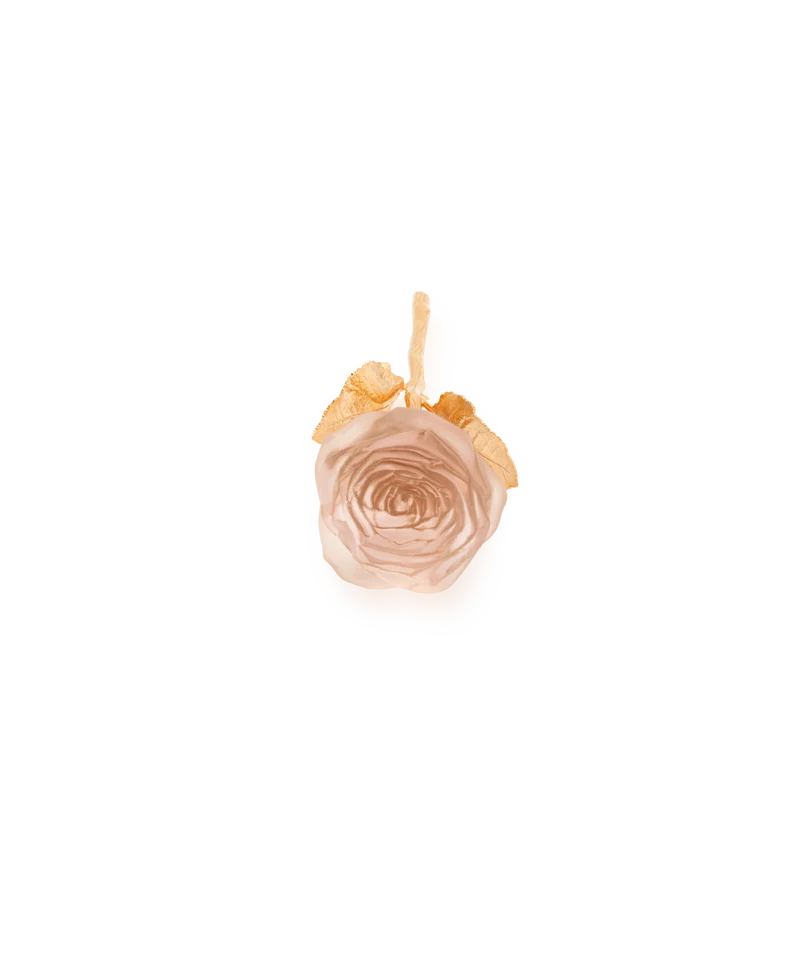 Rose Eternelle Rose poudré