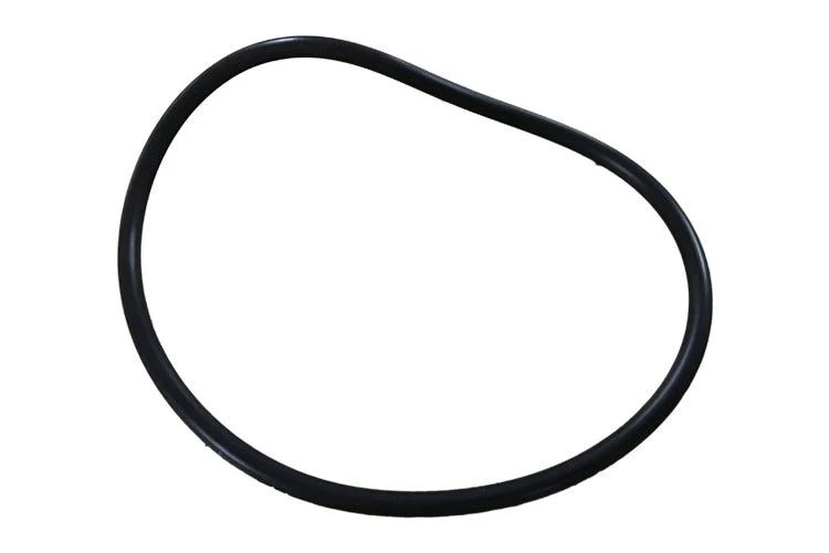 Joint d'étanchéité pour couvert de pompe Turbo Injection, E-Z Flo et Super II Hayward