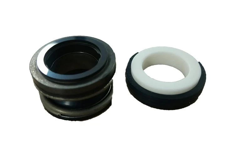 Seal viton pour Super Pump Hayward