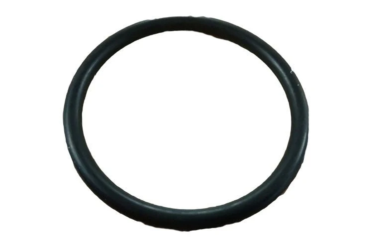 Joint d'étanchéité de diffuseur de pompe Dura-Glass / Dyna-Max / Dyna-Pro Sta-Rite