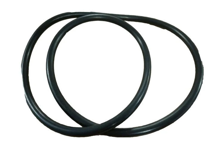 Joint d'étanchéité pour corps de pompe Dura-Glass Intellipro Sta-Rite