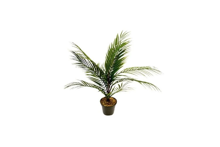Palmier artificiel kwai en pot 51cm