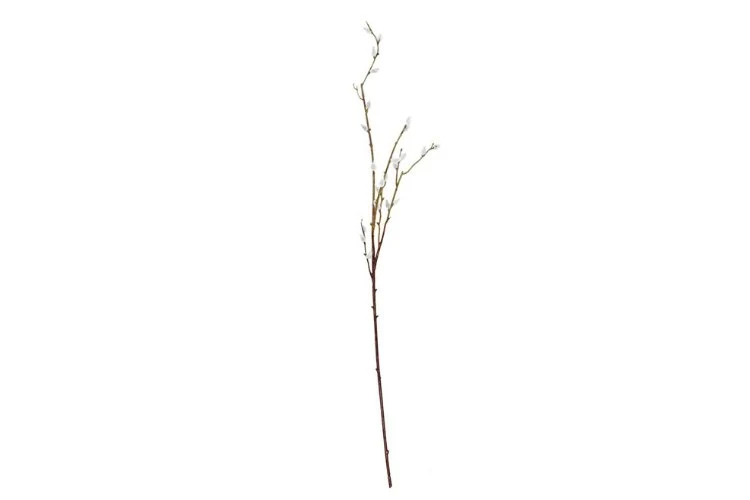 Branche de saule argentée 94cm