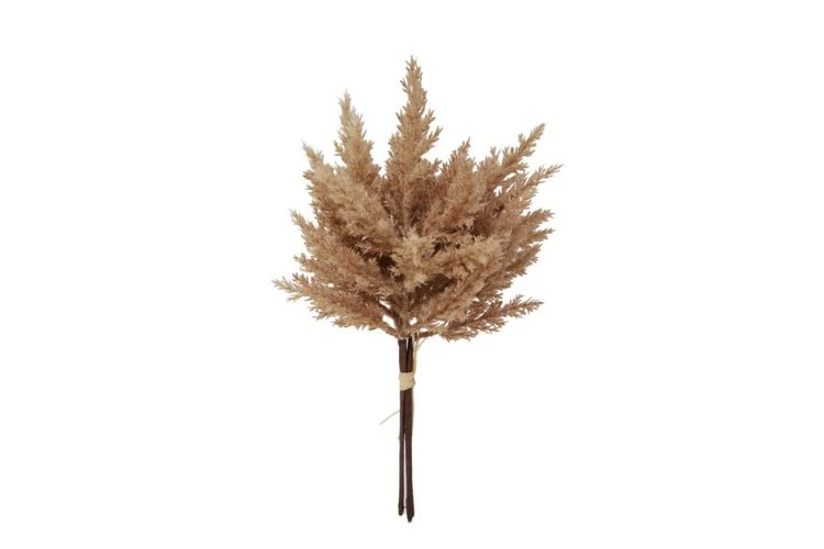 Branche de pampas vieux-rose 34cm