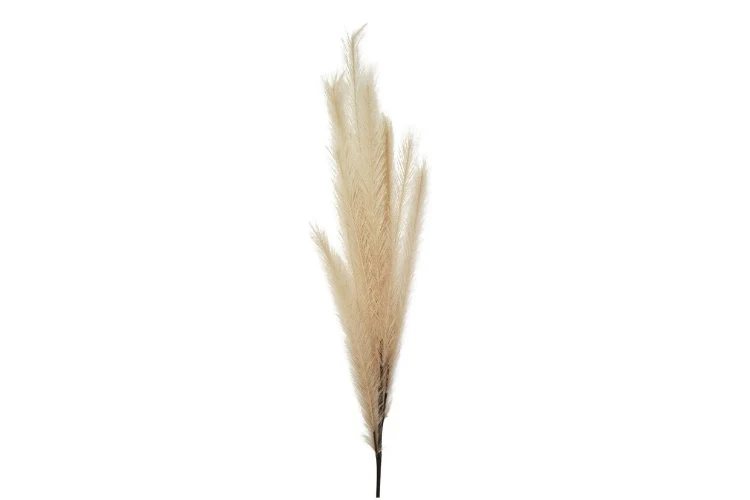 Pampas naturel 115cm