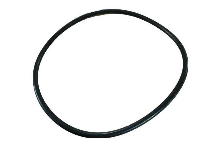 Joint d'étanchéité de pompe Dyna-Glass/Dyna-Pro/ Sta-Rite