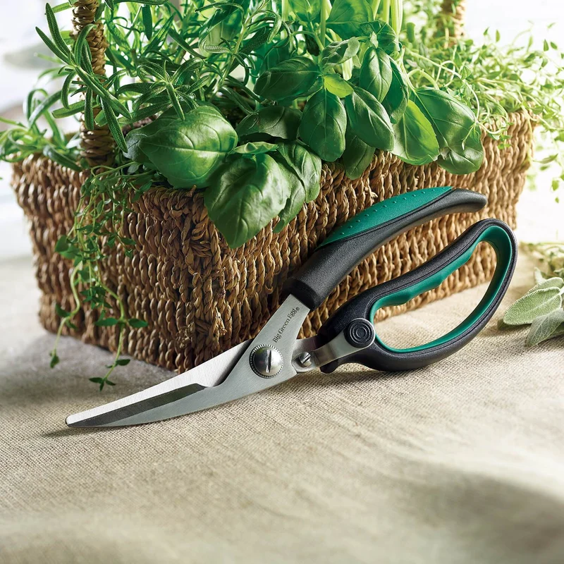 Ciseaux de cuisine